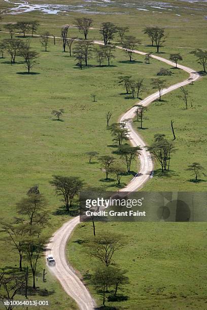 dirt road and acacia trees, aerial view - kenya road stock pictures, royalty-free photos & images