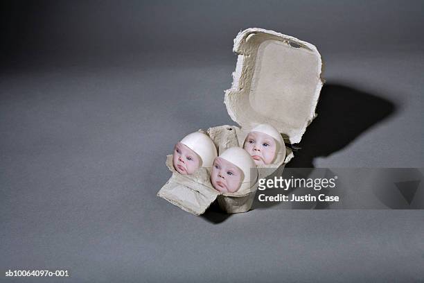 baby boy's face on eggs in box (digital composite) - äggkartong bildbanksfoton och bilder