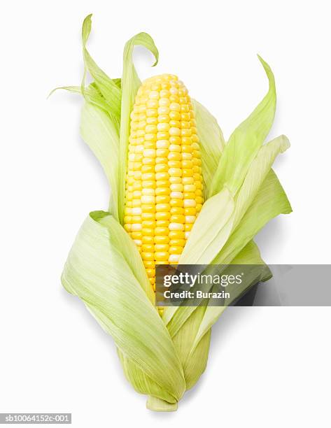 ear of corn, close-up, studio shot - epi-de-mais photos et images de collection