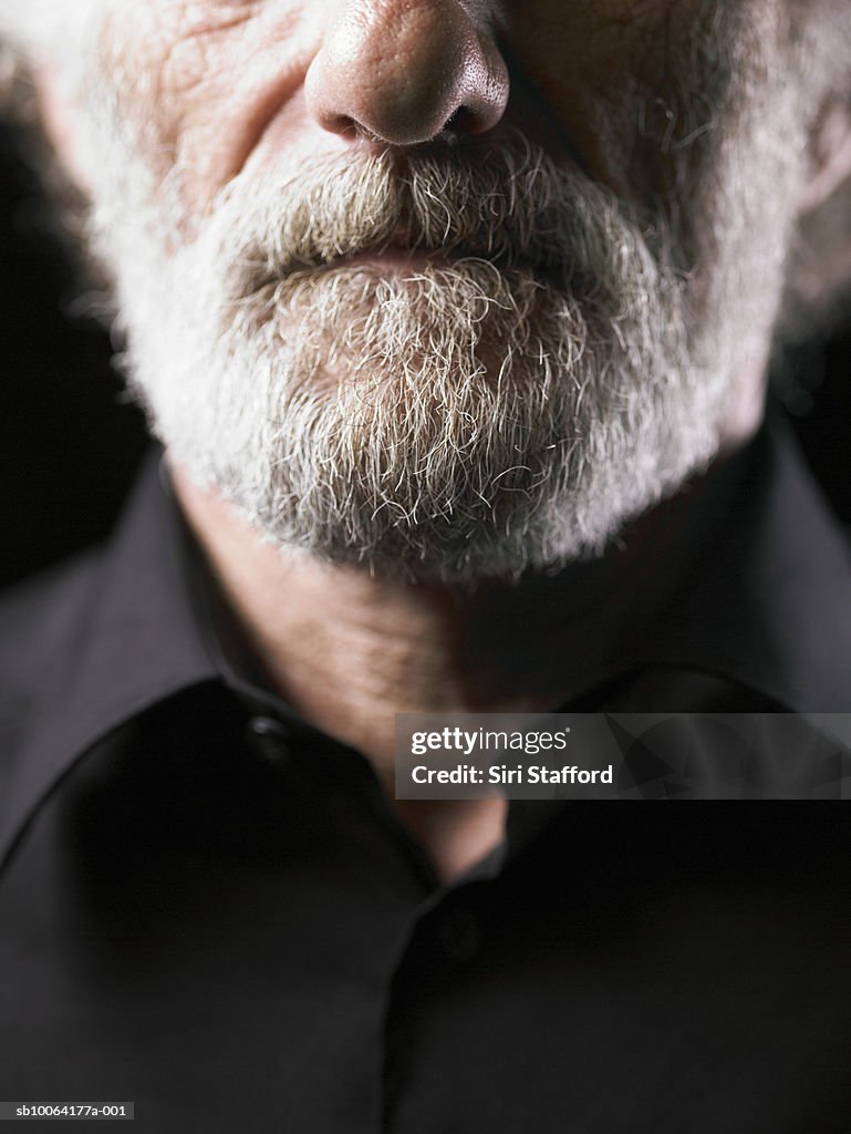 Lower half of senior man's face with grey beard, close-up