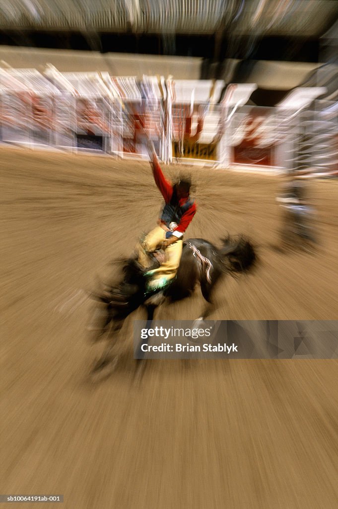 Bronco Rider View Bronco Rider High-Res Stock Photo - Getty Images