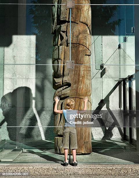 boy looking at museum display through glass window, rear view - anthropology stock pictures, royalty-free photos & images