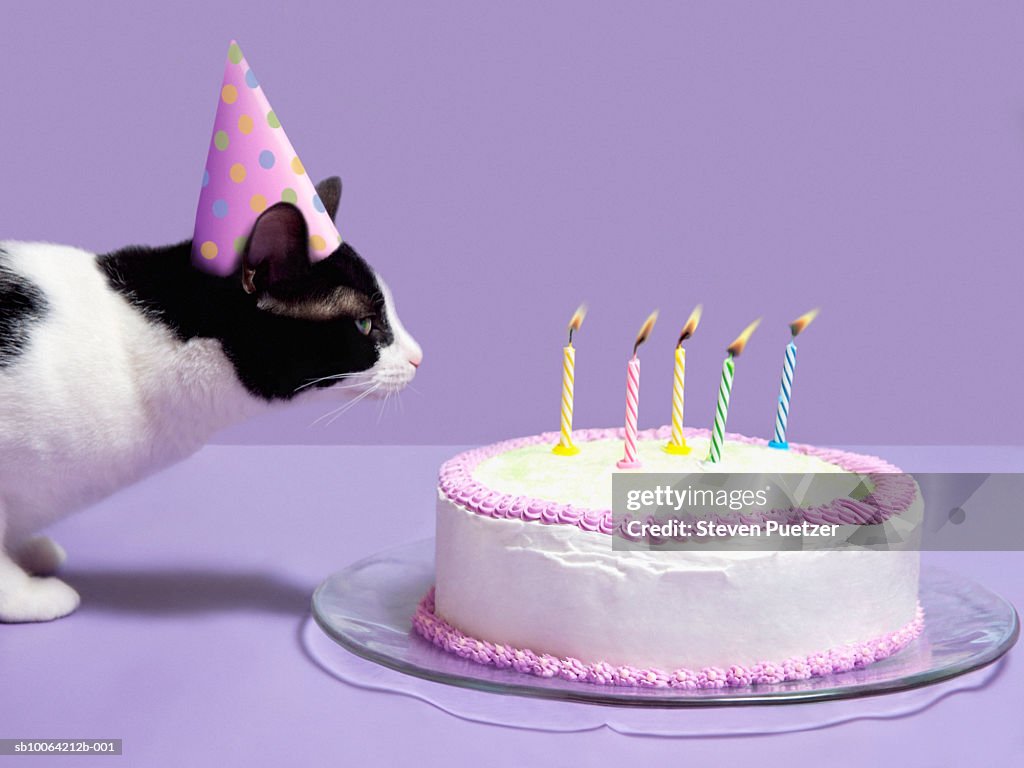 Cat wearing birthday hat blowing out candles on birthday cake