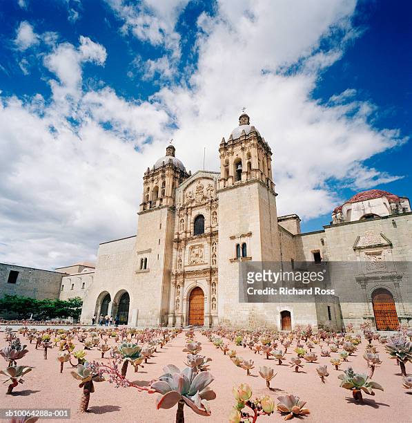 santo domingo church exterior - oaxaca stock pictures, royalty-free photos & images