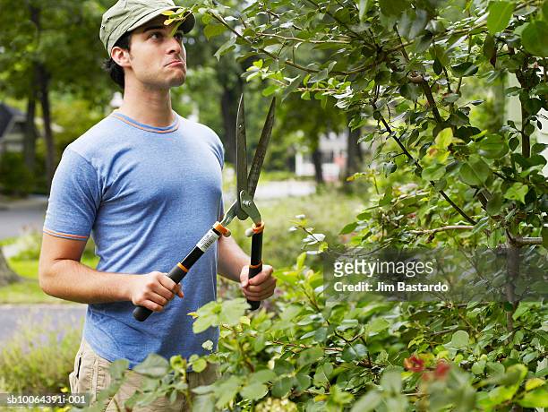 young man pruning hedge - clippers stockfoto's en -beelden