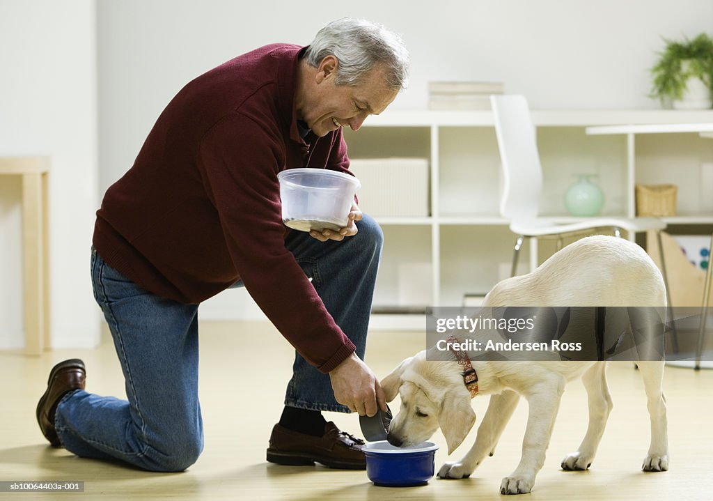 Mature man feeding dog at home