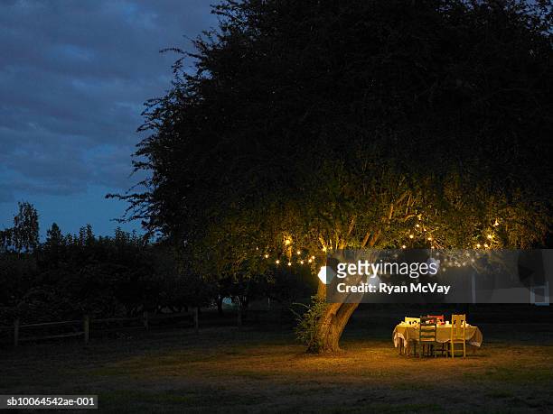 table in yard illuminated by lanterns hanging on tree - lanterns stock-fotos und bilder