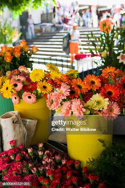 flower market, mexico - mercado de flores fotografías e imágenes de stock