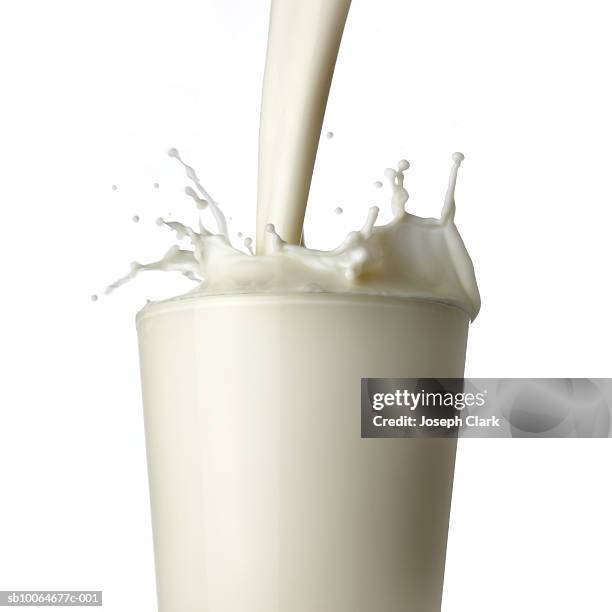 milk being poured into glass, white background - milk pour white background bildbanksfoton och bilder