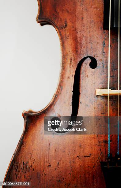 close-up of violin, studio shot - violin ストックフォトと画像
