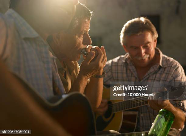three men playing instruments at sunset (differential focus) - harmonica stock pictures, royalty-free photos & images