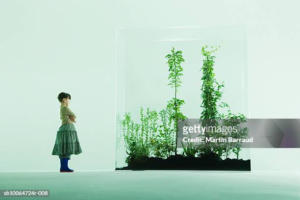 girl (4-5) looking at plants in glass cabinet - glass box stockfoto's en -beelden