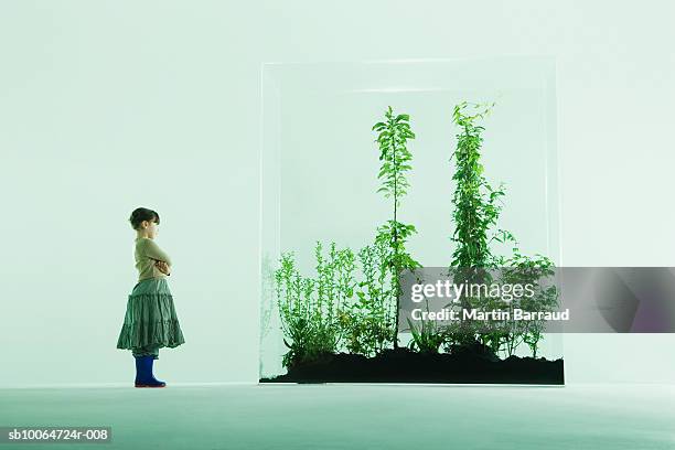 girl (4-5) looking at plants in glass cabinet - glass box stock pictures, royalty-free photos & images