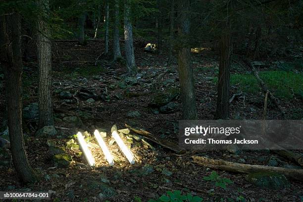 three fluorescent lights on ground in forest - fluorescent stock-fotos und bilder