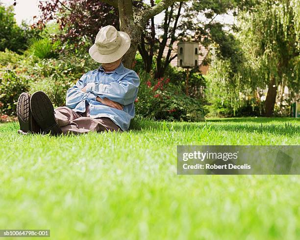 senior man sleeping under tree in garden - park relaxing stock pictures, royalty-free photos & images