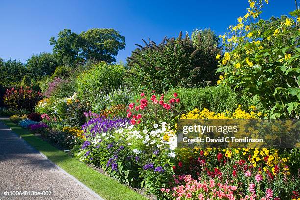 nymans garden - flower garden stockfoto's en -beelden