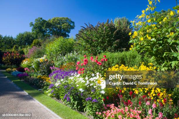 nymans garden - garden spring flower bildbanksfoton och bilder