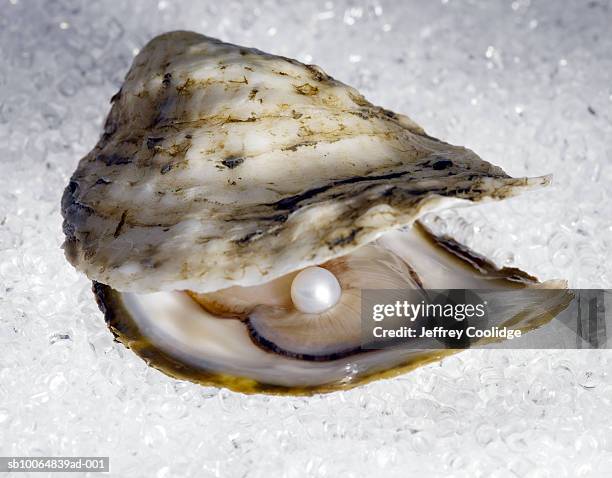 pearl in open oyster - huitre-perliere photos et images de collection