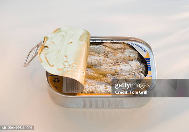 open can of sardines, elevated view, close-up - sardine can fotografías e imágenes de stock