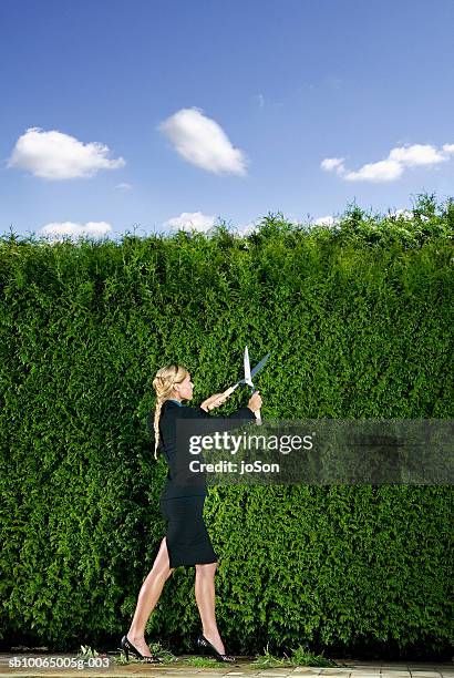 businesswoman cutting hedge, side view - hedge trimming stock pictures, royalty-free photos & images