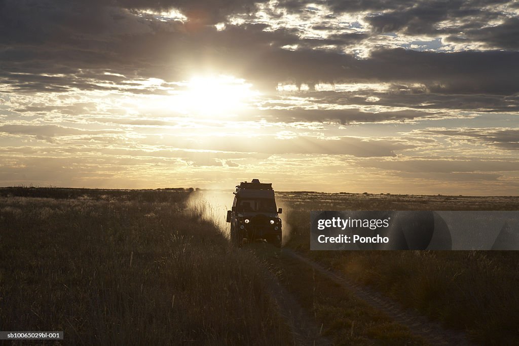 Botswana, four wheel drive car driving across field at sunset