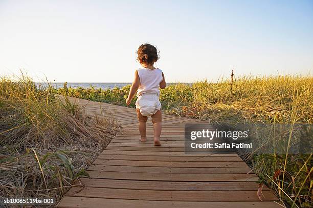 baby girl (12-15 months) walking on boardwalk amongst grass, rear view - luier stockfoto's en -beelden