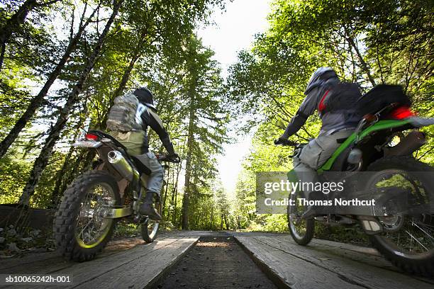 two male bikers riding in forest, rear view - motor racing track stockfoto's en -beelden