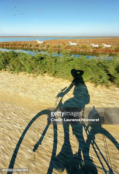 shadow of person riding bicycle on dirt track - camargue photos et images de collection