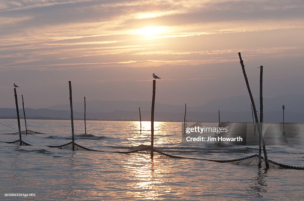 Birds on top of fishing nets,Peschiera,Lake Garda,Italy