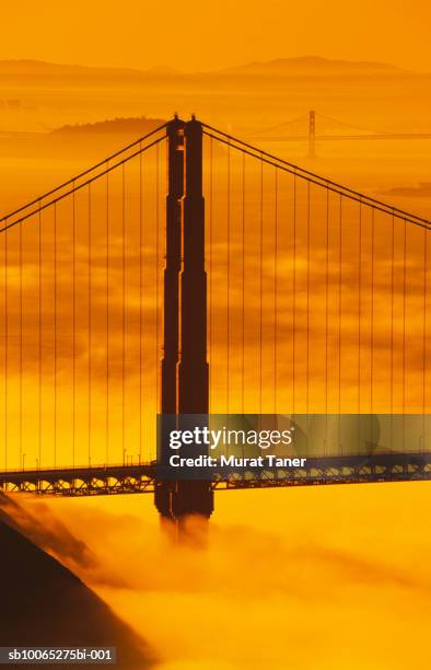 golden gate bridge in fog - suspension bridge stockfoto's en -beelden