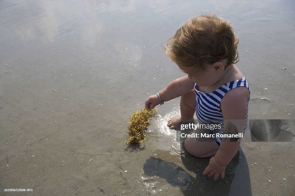 Baby girl (9-12 months) playing with seaweed on beach