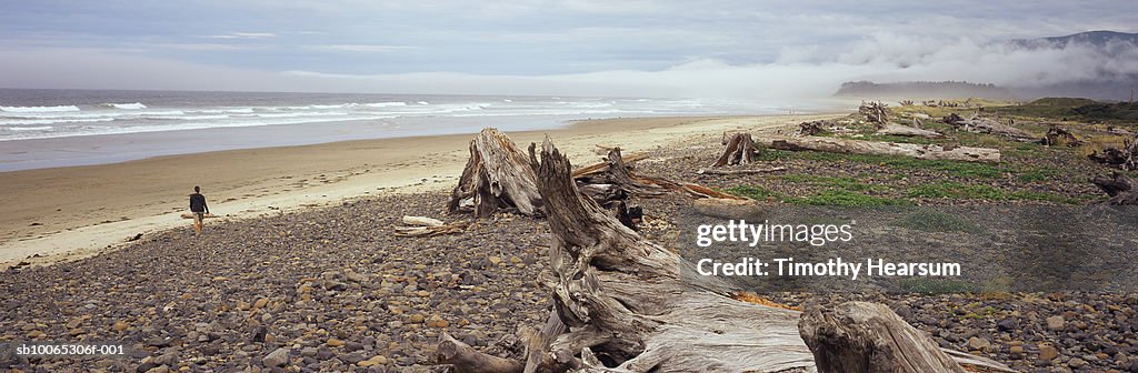 USA, Oregon, Cape Meares with driftwood and rocky shore in foreground