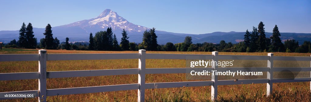 USA, Oregon, field and fence with Mt Hood in background