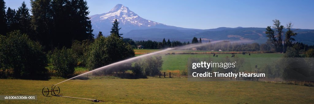 USA, Oregon, pasture being irrigated, Mt Hood in background