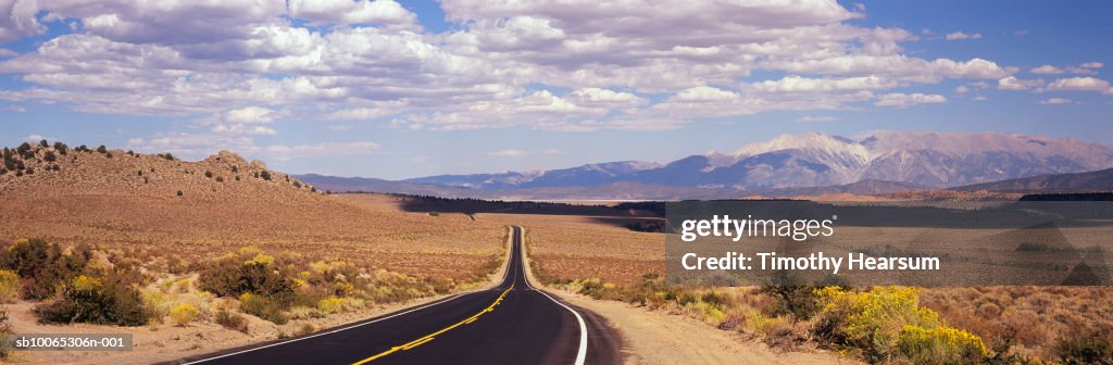 USA, California, near Lee Vining, landscape around Route 120 with blooming chamisa (Chrysothamnus nauseosus) at roadside