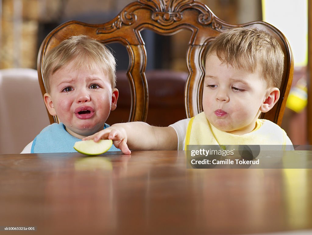 Twin brothers (18 months) sitting at table, one crying and looking at camera