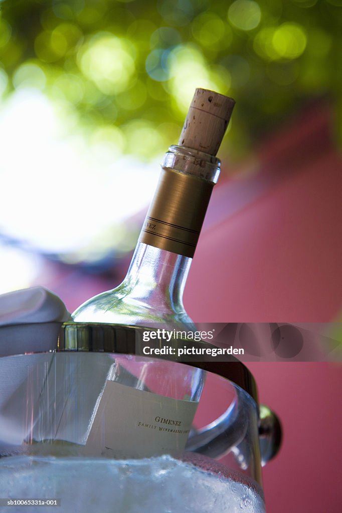 Wine bottle in ice bucket, close-up