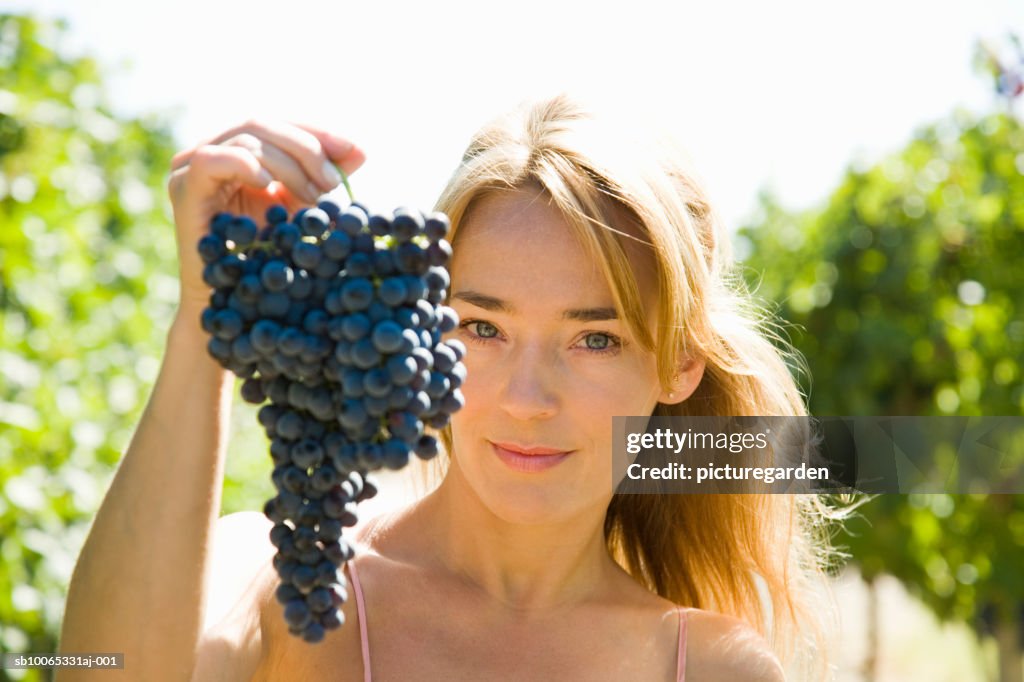 Woman holding bunch of grapes in vineyard, close-up, portrait