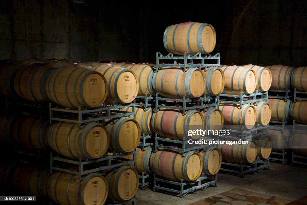 Racks with wine barrels in cellar