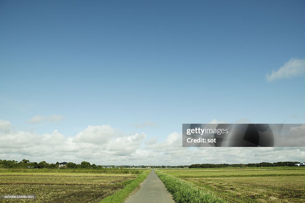 Japan, Chiba, road in countryside