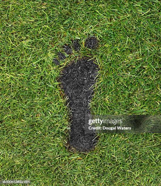 coal footprint on grass - emissioni di co2 foto e immagini stock