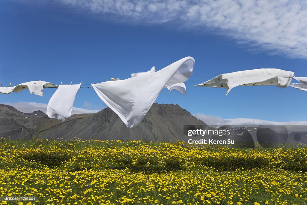 Laundry blowing in wind on meadow with wildflowers
