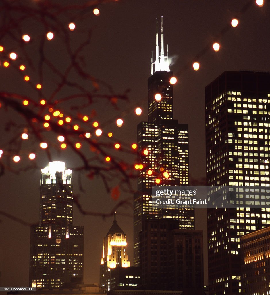 USA, Chicago, Sears Tower viewed from Grant Park with christmas lights on trees
