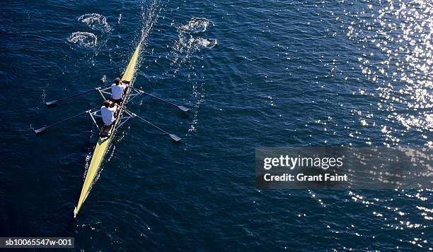 young men rowing kayak, elevated view - remar fotografías e imágenes de stock