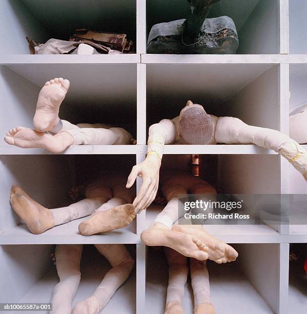 dummy body parts on shelf - mannequin arm stock pictures, royalty-free photos & images