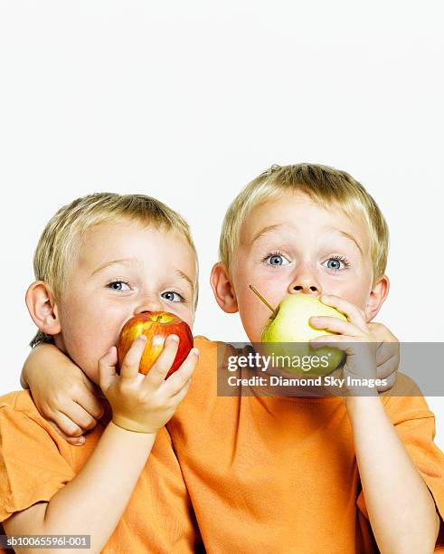 twin boys (4-5) eating apples, close-up, portrait - twins boys stock pictures, royalty-free photos & images