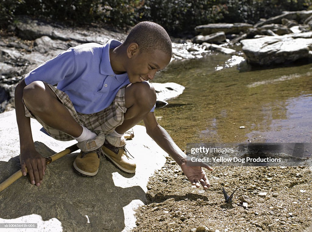 Boy (12-13) catching butterfly by stream, smiling
