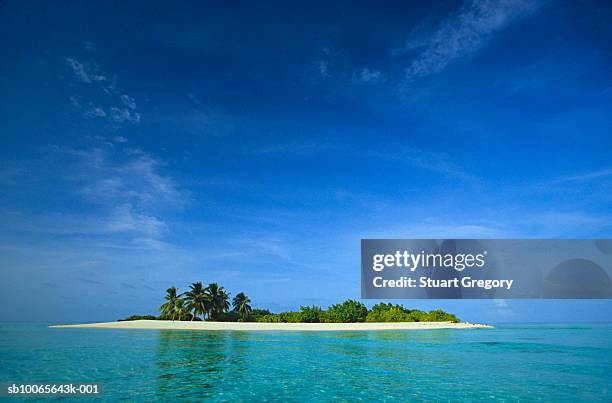 maldives, tropical island with palm trees in middle of ocean - einsame insel stock-fotos und bilder