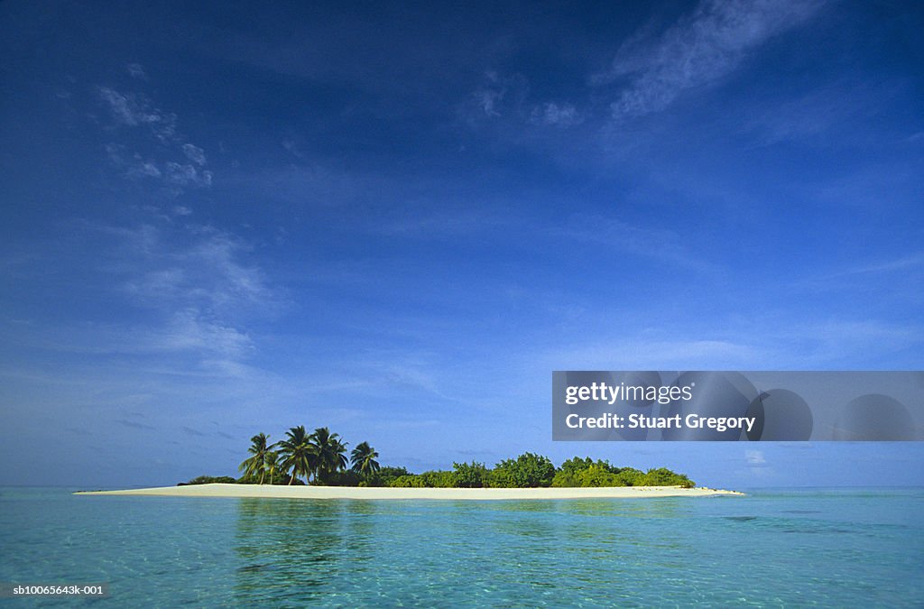 Maldives, tropical island with palm trees in middle of ocean