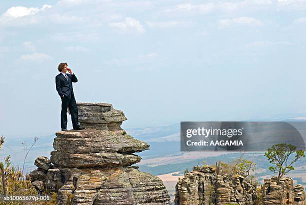 businessman standing on top of rock, using mobile phone - serra da canastra national park stock pictures, royalty-free photos & images